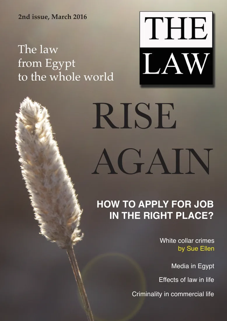 Rise Again